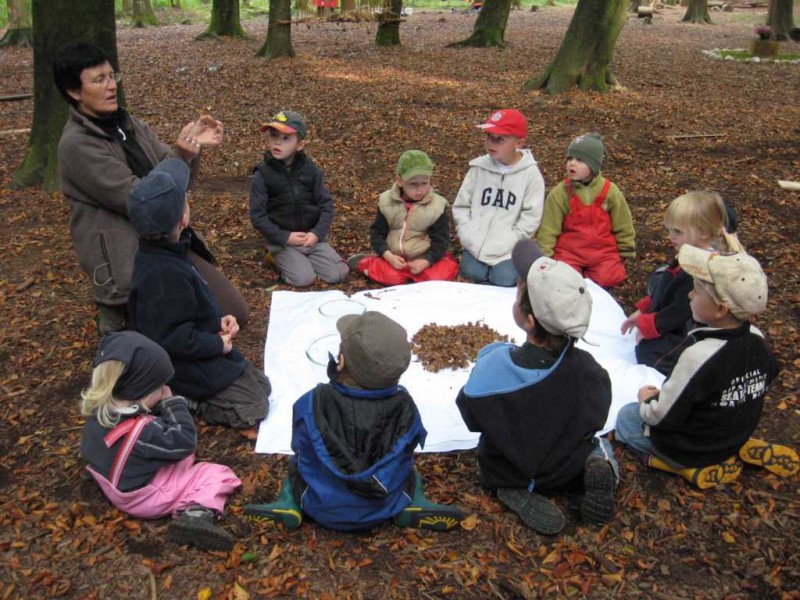 Kindergarten | Naturkindergarten Schwabhausen e.V