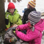 IMG_8139 2013.03.06 10_09_36