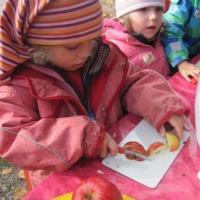 IMG_9665.JPG