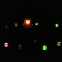 DSC_7115_DxO.jpg